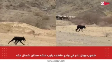 ظهور حيوان نادر في وادي فاطمة يثير دهشة سكان شمال مكة